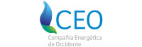 CEO de MPSIG